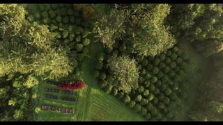 Eco Stay Studio - - 5