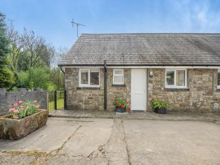 Owl Cottage - Llandeilo - 1