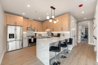 New Build in Pilsen Spacious 2 Bed 2 Bath Unit - Chicago - 9