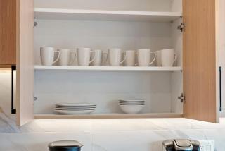 New Build in Pilsen Spacious 2 Bed 2 Bath Unit - Chicago - 4