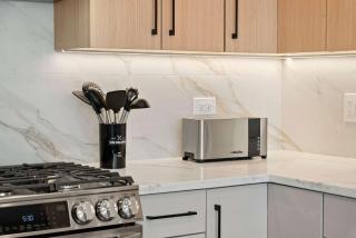 New Build in Pilsen Spacious 2 Bed 2 Bath Unit - Chicago - 2