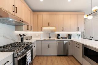 New Build in Pilsen Spacious 2 Bed 2 Bath Unit - Chicago - 1