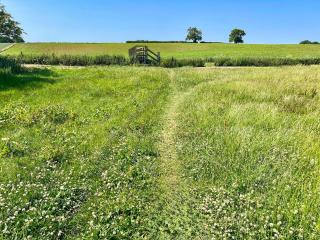 Ash Cottage - Tollerton - 0