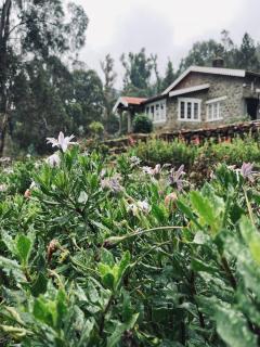 Springdale Villa - Kodaikānāl - 9