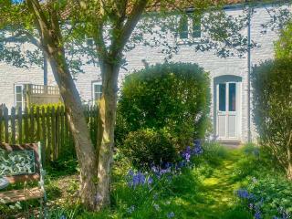 Jennys Cottage 27553 - Mundesley - 0