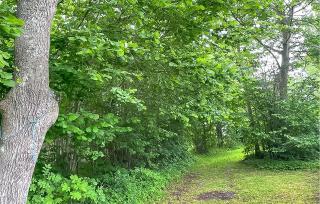 Amazing Home In Romakloster With Wifi - 6