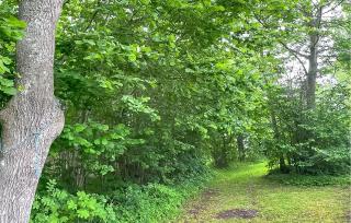 1 Bedroom Gorgeous Home In Romakloster - Romakloster - 9