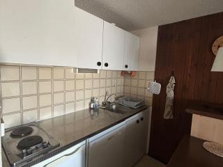 Appartement confort pour 4/6 pers. au cœur de la station avec terrasse - FR-1-814-140 - Besse-et-Saint-Anastaise - 1