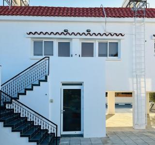 Olive Bloom - Larnaca - 8