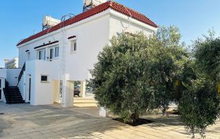 Teak Charm - Larnaca - 9