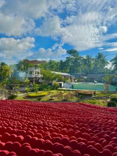 Jardin De Ysabelle - 5