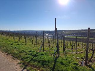 GRooms-Rent - Gemmrigheim - 7
