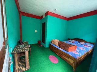 Chandni homestay - 9