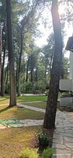 Villa Anty - Sani Beach - 1