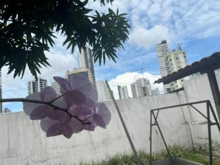 Spacious and comfortable house in Belém for COP30 - 4