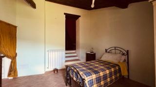 The quiet yellow house - Pornassio - 2