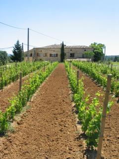 Domaine d'Augnac - Rosières - 6