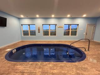 Black Bear Plunge Indoor Pool - Pigeon Forge - 1