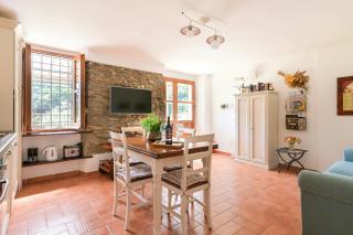 Stone Cottage Among Olive Trees Near Versilia Beaches - 3