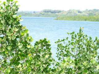 Pemba Misali Sunset Beach - Wesha - 7