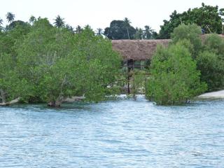 Pemba Misali Sunset Beach - Wesha - 5