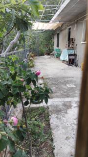Ambeli - Kalopanayiotis - 2