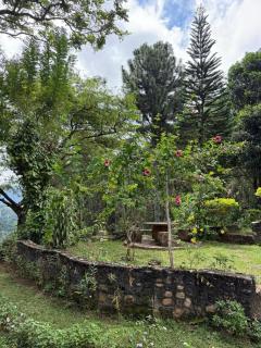 Hill Top Villa - Up Diyaluma Falls - Beautiful Colonial Villa - - 3