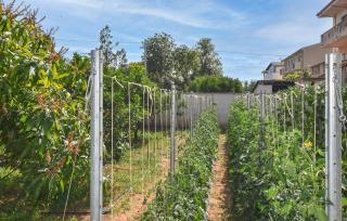 2 Bedroom Awesome Apartment In Trappeto - Trappeto - 4