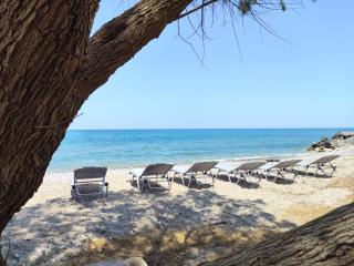 Beachfront 4 bedroom apartment, first floor - Dhrámia - 9