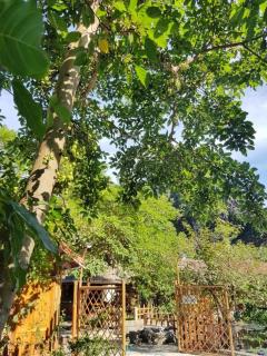 Trangan emotion homestay - Ninh Binh - 2