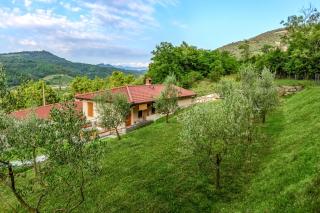 Zelkonn House - Branik - 0