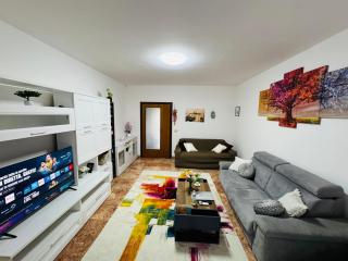 suite apartment near venice - Venice - 8
