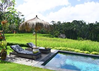 Jiwaku di Bali - Ubud - 6