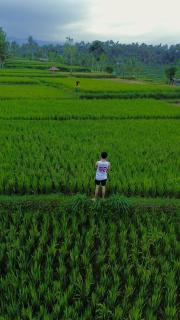 Rain & Sunrise Homestay - Tetebatu - 3
