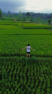 Rain & Sunrise Homestay - Tetebatu - 4