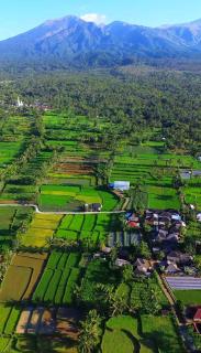 Rain & Sunrise Homestay - Tetebatu - 5