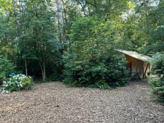 Glampingtent Bosgenot - Zedelgem - 6