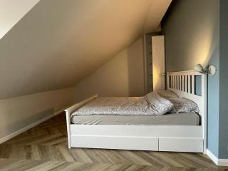 Bright and Airy 65 sqm Apt in Old Town Steps Away - Pakapiai - 4