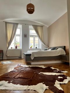 Spacious city flat with courtyard - Košice - 0