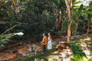ภูธารา กลางดง - 1