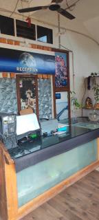 Birla Resort Near Hampi - - 9