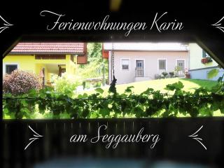 Ferienwohnungen Karin am Seggauberg - Leibnitz - 3