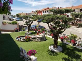 Apartment Vlado - Vrsar - 0