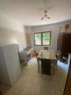 Apartament 2 camere Băile Herculane - Băile Herculane - 6