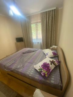 Apartament 2 camere Băile Herculane - 2