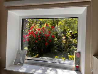 The LODGE, separate apartment in a vila, with floor heating, groundfloor - Sinaia - 8