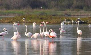 La casa del Sole - 7