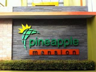 Pineapple Mansion - Solo - 0