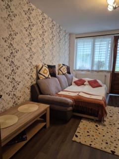 Apartament de închiriat - Borsec - 1