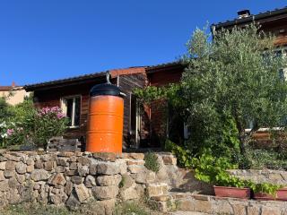 Le Montagnon - Lupé - 1